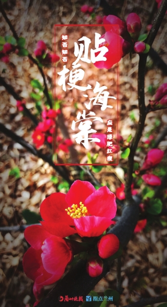 來，跟這些美美的花朵認(rèn)識一下！