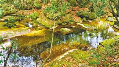 甘肅旅游丨八福溝，西秦嶺深處的水韻秘境