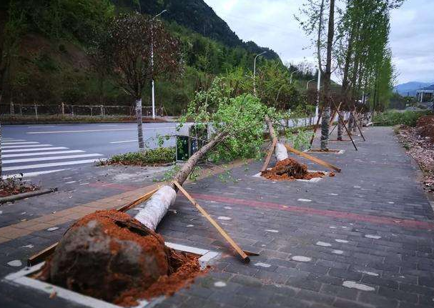 刮風(fēng)下雨加速新冠病毒傳播？別信！