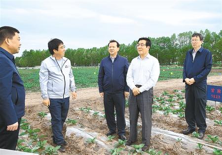 林鐸在天?？h調(diào)研指導(dǎo)脫貧攻堅工作時強(qiáng)調(diào)  拉開架勢持續(xù)用力構(gòu)建扶貧產(chǎn)業(yè)體系 多措并舉固強(qiáng)補(bǔ)弱鞏固提升脫貧成果