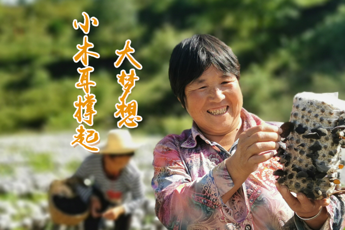 海報(bào)丨他們，乘“豐”破浪！