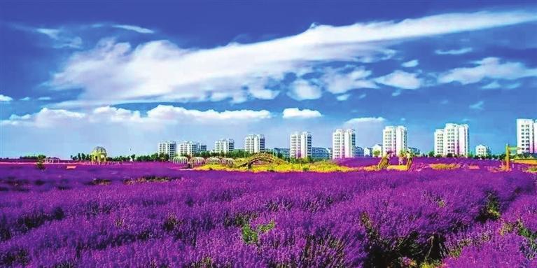 “三連冠”！金昌蟬聯(lián)全國文明城市
