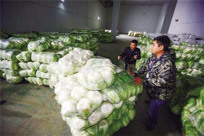 蘭州市已儲備1萬噸冬春蔬菜 以耐貯存、易周轉(zhuǎn)品種為主