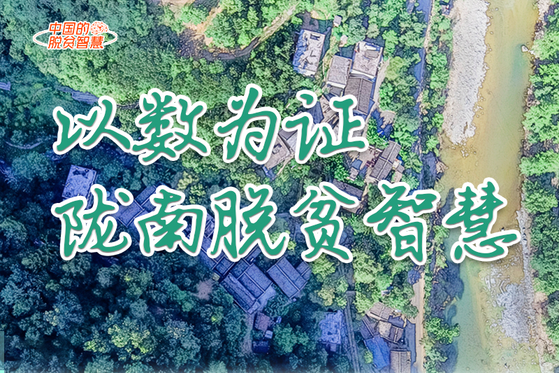 【中國的脫貧智慧】以數(shù)為證！隴南脫貧智慧來了！