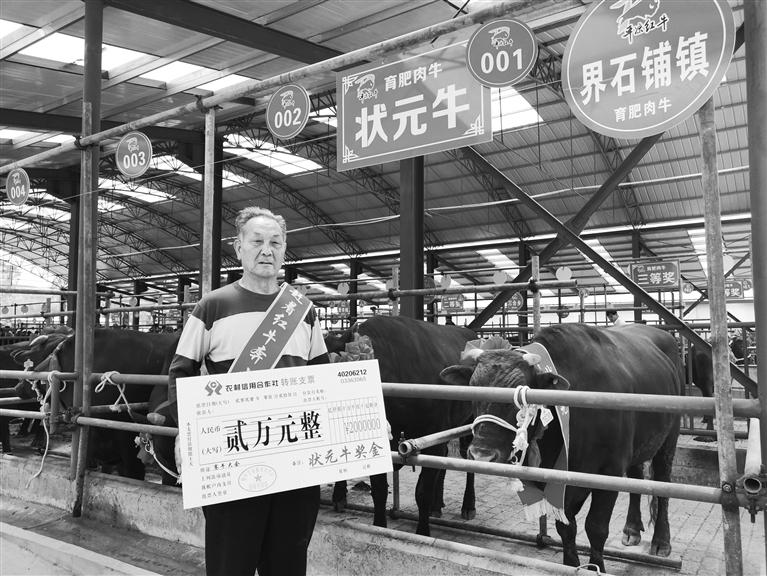 120頭“平?jīng)黾t?！膘o寧爭(zhēng)霸