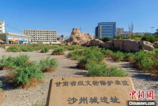 圖為沙州郡城遺址公園古遺址。　王斌銀 攝