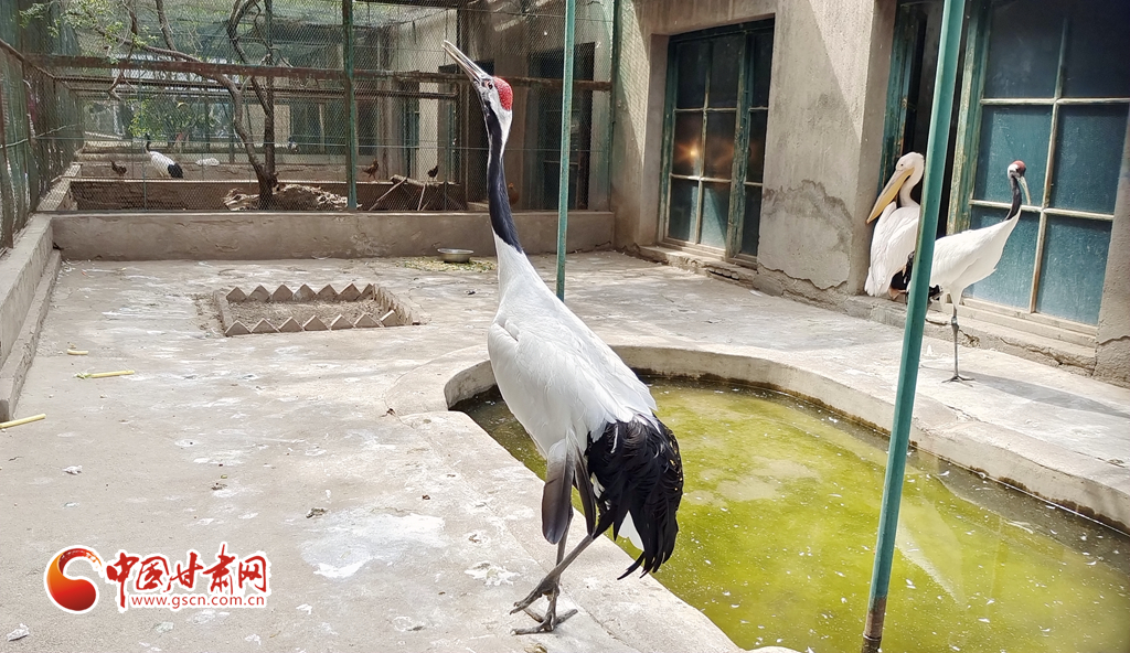 蘭州公安提醒市民：非緊急非必要，不出境