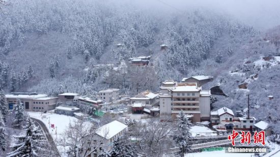 圖為籠罩在雪下的世界。吳永 攝