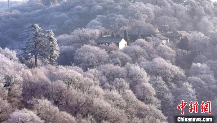 圖為霧凇美景?！⌒煺袢A 攝