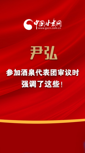 【2022甘肅兩會·圖解】尹弘書記參加酒泉代表團審議時強調(diào)了這些！