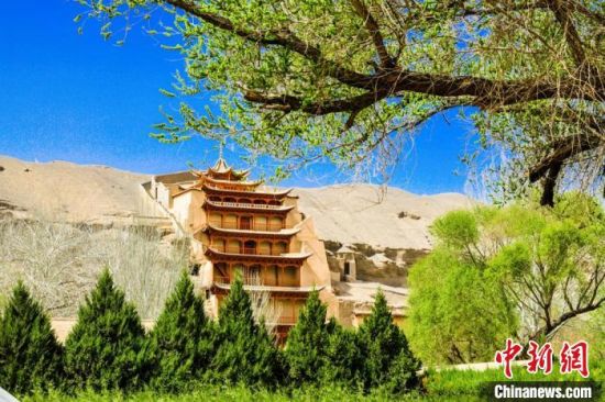 4月的敦煌莫高窟景區(qū)春意盎然。(資料圖) 王斌銀 攝