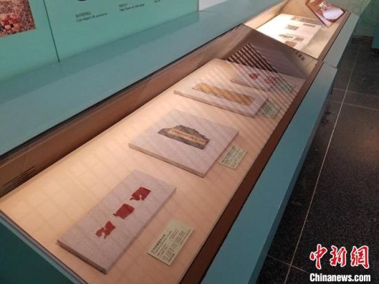 圖為展覽現(xiàn)場。　敦煌研究院供圖