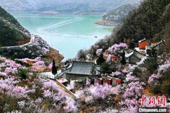 甘肅平涼市是中國優(yōu)秀旅游城市。圖為平涼崆峒山下十里桃花盛開。(資料圖) 平涼市委宣傳部供圖