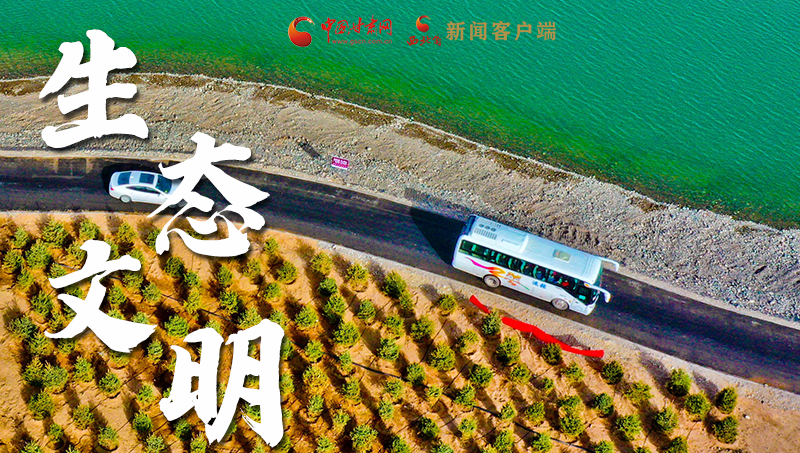 彈幕海報(bào)丨熱議甘肅省委十三屆十六次全會(huì) 網(wǎng)民聲音在回響！