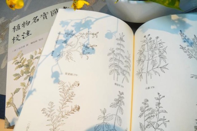 《植物名實圖考校注》內(nèi)頁。圖片來源：中華書局供圖