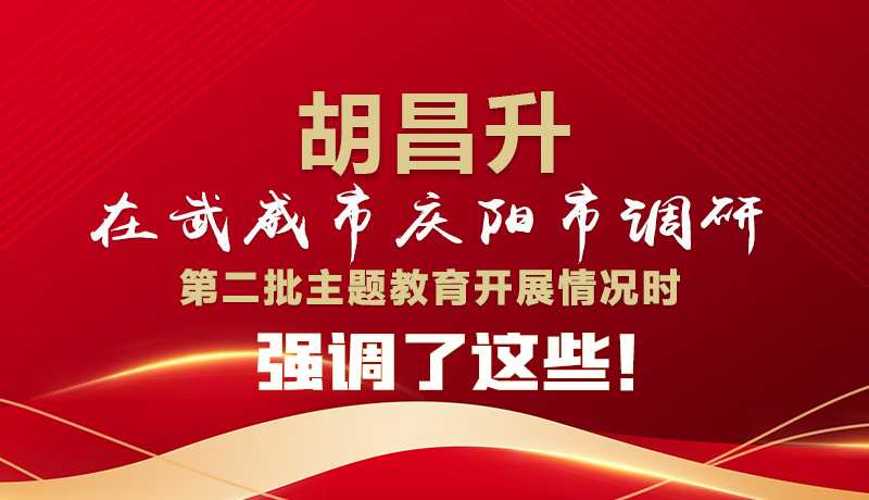圖解|胡昌升在武威市慶陽(yáng)市調(diào)研第二批主題教育開展情況時(shí)強(qiáng)調(diào)了這些！
