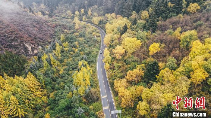 深秋，航拍位于蘭州市榆中縣的興隆山，景色如畫。金峯 攝</p>
<p>