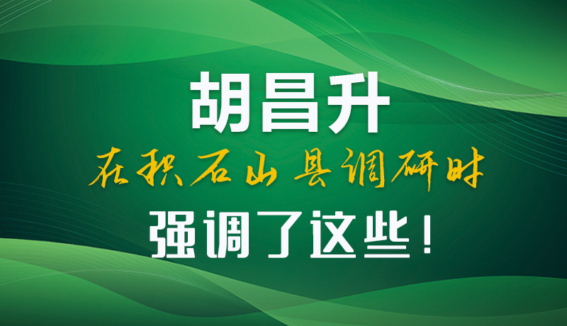 圖解|胡昌升在積石山縣調(diào)研時強調(diào)了這些！