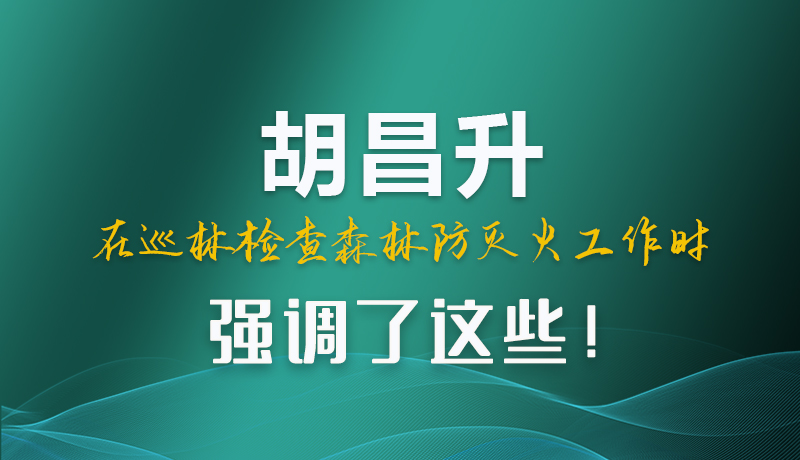 圖解|胡昌升在巡林檢查森林防滅火工作時強調(diào)了這些！