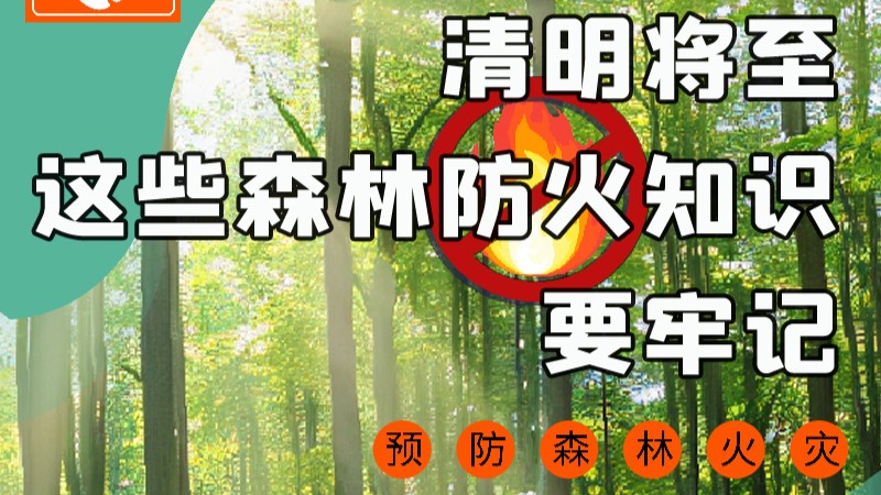【甘快看】圖解|緊繃“安全弦”！清明，這些森林防火知識要牢記