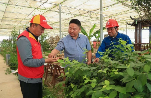 國網(wǎng)慶陽供電公司滿格電護航“菜籃子”豐收增產(chǎn)